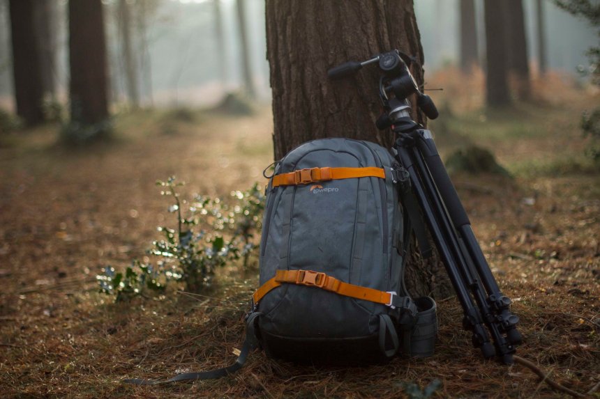 lowepro-whistler-against-tree