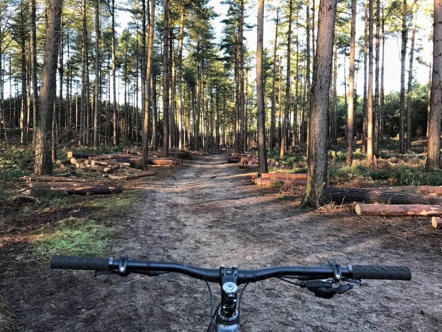 15776859_10158012202085608_8745573601829896913_o