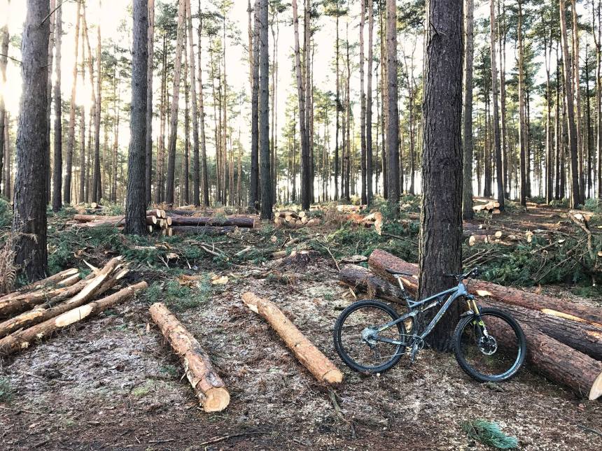 15895854_10158012202150608_7617426664501806197_o