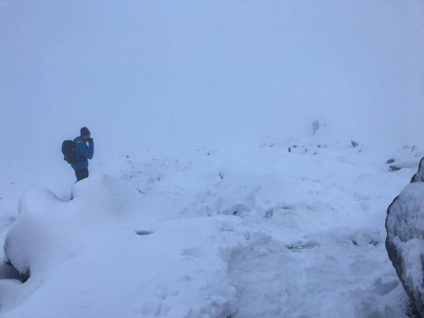 16389448_10158153414145608_872193944_o