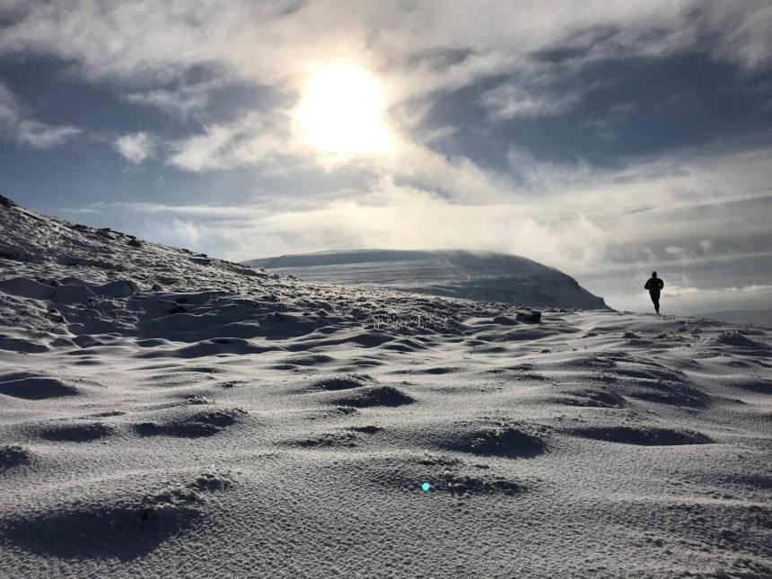 16409922_10158153416140608_318868881_o