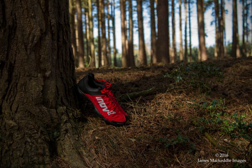 inov8-mudclaw-300-tree