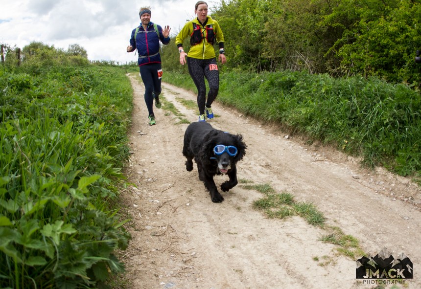 XNRG Devils Challenge Day 1 Dog on trail