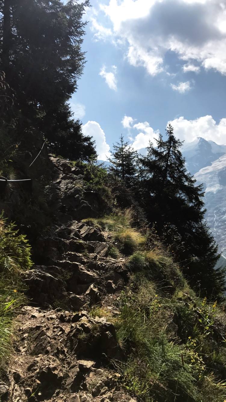 38720852_10160694623930608_3359598353225613312_o