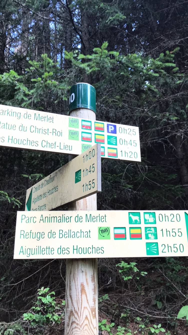 38738321_10160694623915608_2201655241575759872_o