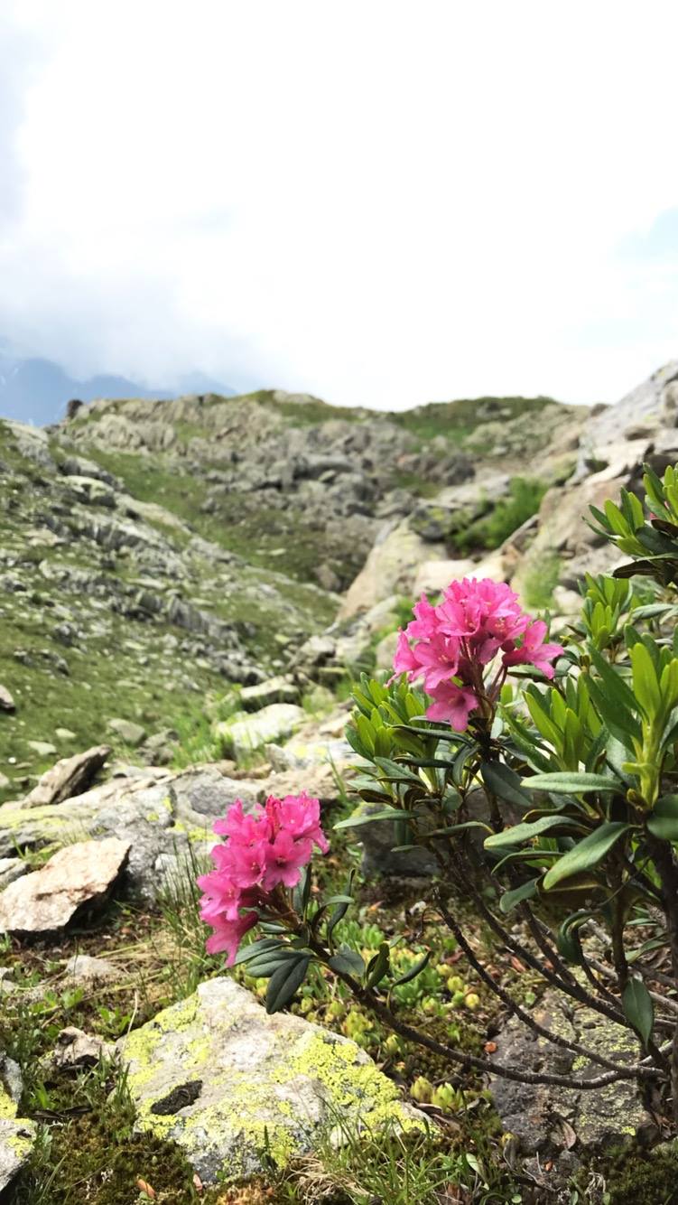 38778023_10160694623900608_5165052190414340096_o